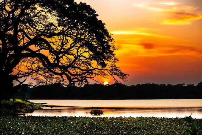 Wilpattu National Park