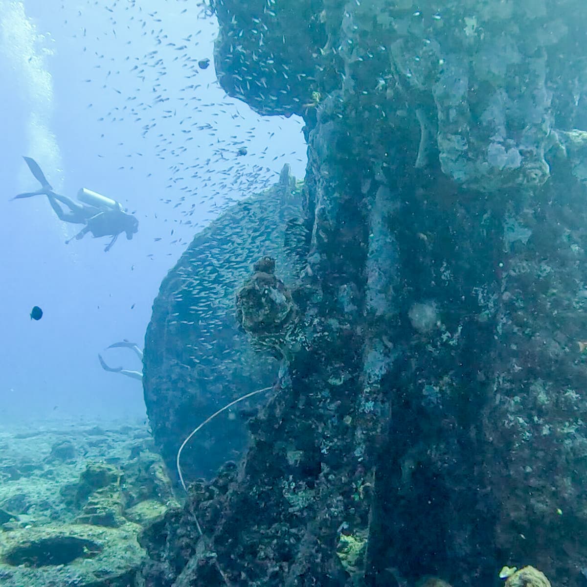 The Coins, the Reef & the Southern Sea